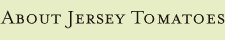 About Jersey Tomatoes